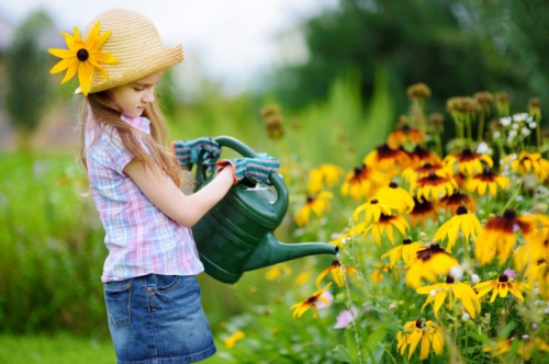 Что делать в августе — 30 самых важных дел в саду, огороде и цветнике