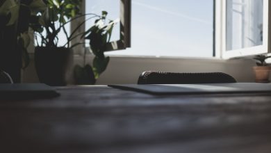 6 dejstvennyh sposobov borby s zapahami edy v otkrytoj kvartire studii e3fa61a