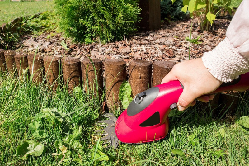 6 необходимых садовых инструментов, которые облегчат работу в саду