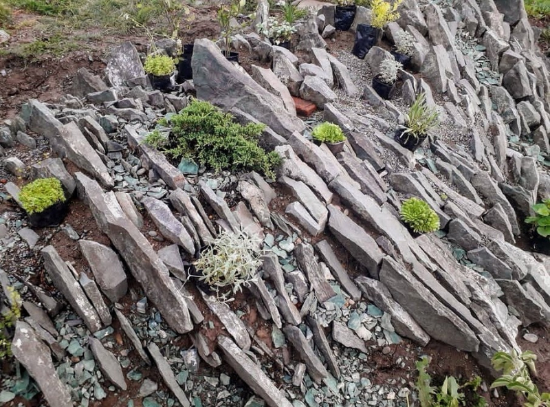Альпийская горка своими руками: как построить, украсить и ухаживать (70 фото)