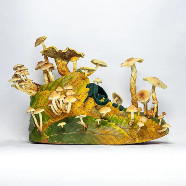 Буйный рост: художник Кристоф Гине «прорастил» грибы сквозь модные кроссовки