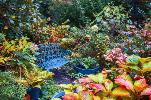 Что делать в сентябре — 30 самых важных дел в саду, огороде и цветнике