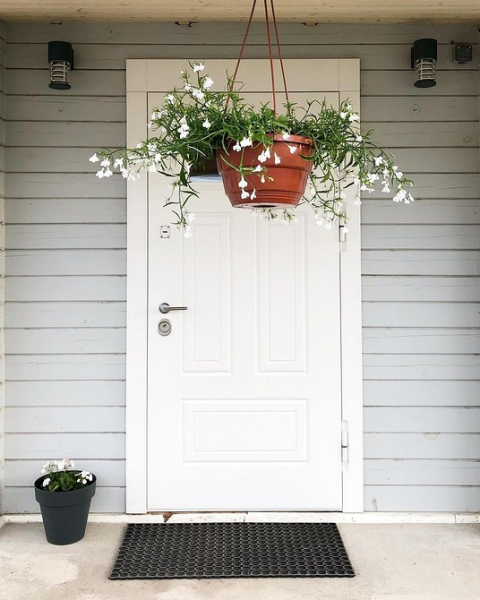 Какую дверь поставить в частный дом: 4 основных варианта выбора и красивые примеры