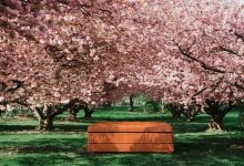 midsummer milano iskusstvo sna 6c8d92f