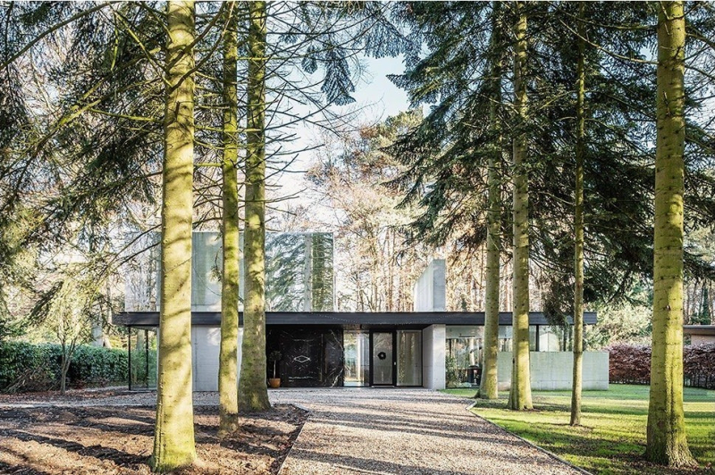 «Прозрачные» дома: в бельгийском лесу построили оригинальные дома