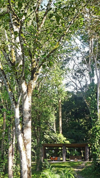 
                                В джунглях Коста-Рики построили дом без стен для отдыха на природе                            