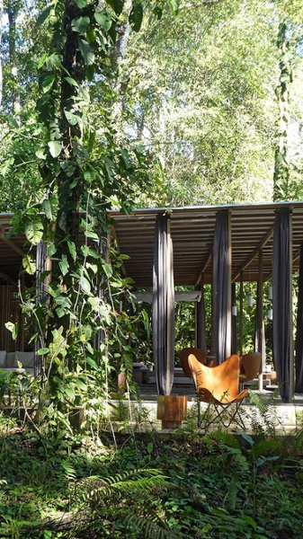 
                                В джунглях Коста-Рики построили дом без стен для отдыха на природе                            