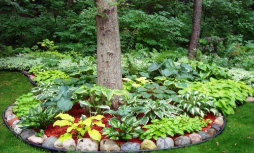 30 дел, которые надо сделать в саду, огороде и цветнике в июне